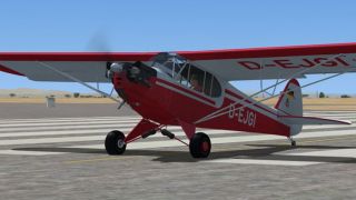 Screenshot 3 — Piper J-3 Cub D-EJGI