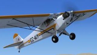 Screenshot 4 — Piper J-3 Cub EC-AIY