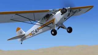 Screenshot 2 — Piper J-3 Cub EC-AIY