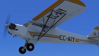 Screenshot 3 — Piper J-3 Cub EC-AIY