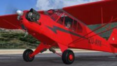 Screenshot 5 — Piper J-3 Cub ZU-AYK