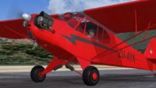Screenshot 5 — Piper J-3 Cub ZU-AYK