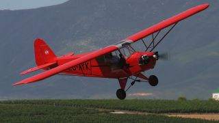 Screenshot 1 — Piper J-3 Cub ZU-AYK