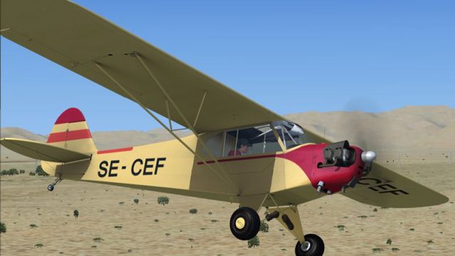 Screenshot 1 — Piper J-3 Cub SC-CEF
