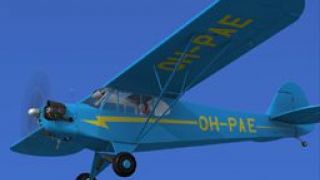 Screenshot 3 — Piper J-3 Cub HB-PAE