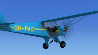 Screenshot 2 — Piper J-3 Cub HB-PAE