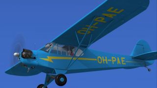 Screenshot 1 — Piper J-3 Cub HB-PAE