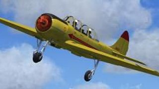 Screenshot 3 — Alphasim Yak-52 Pack 1