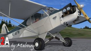 Screenshot 4 — Taxi Piper J-3 NC487W (Fictional)