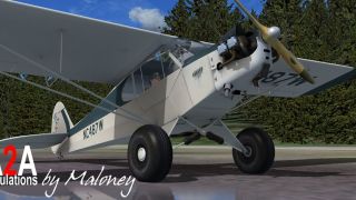 Screenshot 1 — Taxi Piper J-3 NC487W (Fictional)