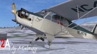 Screenshot 9 — Taxi Piper J-3 NC487W (Fictional)