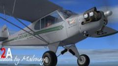 Screenshot 9 — Fast Joe's Air Taxi Piper J-3 N5789 (Fictional)