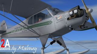 Screenshot 3 — Fast Joe's Air Taxi Piper J-3 N5789 (Fictional)