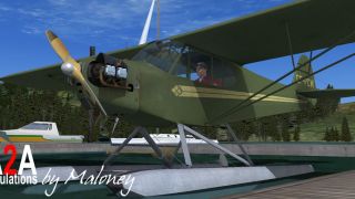 Screenshot 2 — Piper J-3 Cub CF-PCW (Fictional)