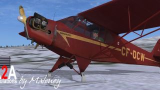 Screenshot 3 — Piper J-3 Cub CF-DCW  "Bushwhacker" (Fictional)
