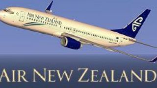 Screenshot 2 — Air New Zealand Boeing 737-800