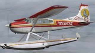 Screenshot 3 — Cessna 185 SkywagonB/F Variants