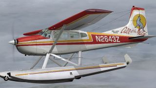 Screenshot 1 — Cessna 185 SkywagonB/F Variants