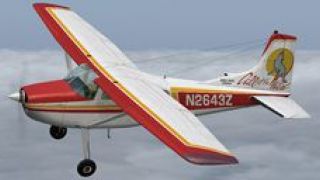 Screenshot 4 — Cessna 185 SkywagonB/F Variants