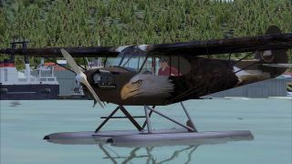 Screenshot 2 — Bald Eagle Piper J-3 Cub