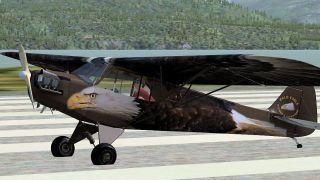 Screenshot 3 — Bald Eagle Piper J-3 Cub