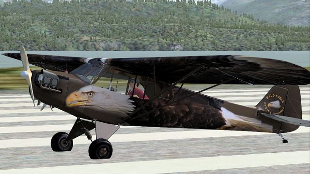 Screenshot 1 — Bald Eagle Piper J-3 Cub