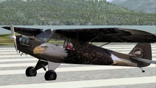 Screenshot 1 — Bald Eagle Piper J-3 Cub