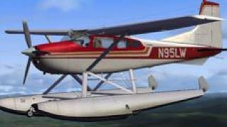 Screenshot 4 — Cessna 185F Skywagon N951LW