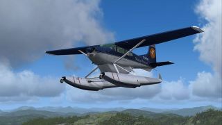Screenshot 7 — CGNWA Cessna 185F Skywagon
