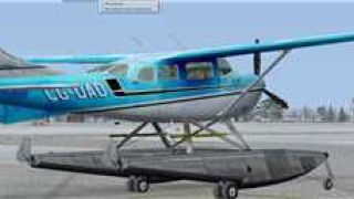 Screenshot 2 — Cessna 206 Bush Plane
