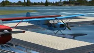 Screenshot 1 — Cosens Air Taxi And Cargo Services Piper J-3 Cub