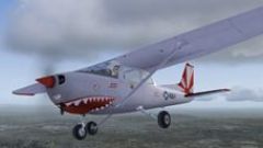 Screenshot 4 — Cessna C172N Skyhawk II - VF111