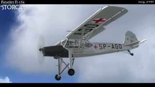 Screenshot 5 — Fi-156 Storch SP-AGO