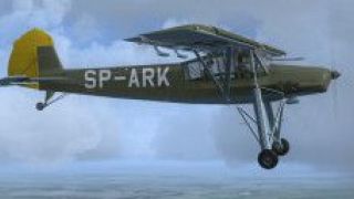 Screenshot 5 — Polish Fi-156 Storch SP-ARK