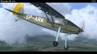 Screenshot 2 — Polish Fi-156 Storch SP-ARK