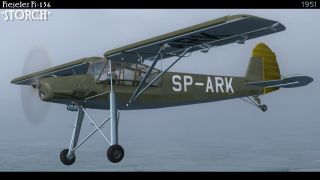 Screenshot 4 — Polish Fi-156 Storch SP-ARK