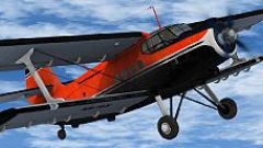 Screenshot 4 — Antonov An-2 N87AN