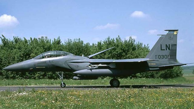Screenshot 1 — F-15 494th FS Panthers