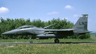 Screenshot 1 — F-15 494th FS Panthers