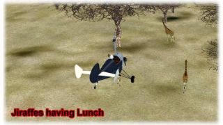 Screenshot 2 — Adventure--Welcome to St Tummy Goumy