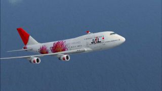 Screenshot 9 — Japan Airlines Boeing 747-400 Flowers Livery