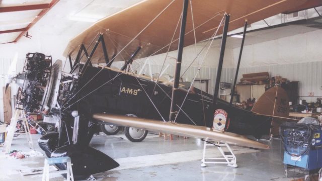 Screenshot 1 — Northwest Airways WACO Fleet