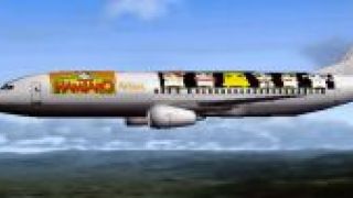 Screenshot 46 — Boeing 737-400