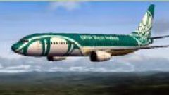 Screenshot 38 — Boeing 737-400