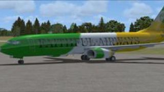 Screenshot 1 — Offaly GAA Boeing 737-800