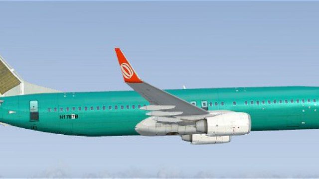 Screenshot 1 — GOL Boeing 737-800