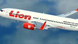 Screenshot 2 — Lion Air Boeing 737-800NG