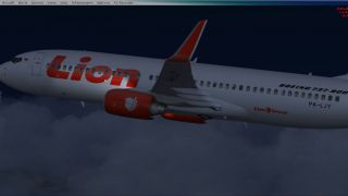 Screenshot 4 — Lion Air Boeing 737-800NG