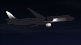 Screenshot 3 — Paint Kit Boeing 787-9 V5