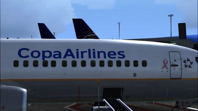 Screenshot 1 — Copa Airlines Boeing 737-8V3